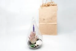 Gift Wrapped Terrarium Kits With Tillandsia Air Plants -Air plant supply co. Air Plant Tillandsia Accessory 71 scaled