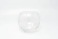 Complete Bubble Trio Terrariums With Tillandsia Juncea, Butzii, And Harrisii Air Plants 10 Complete Bubble Trio Terrariums With Tillandsia Juncea, Butzii, And Harrisii Air Plants -Air plant supply co. Air Plant Tillandsia Accessory Bubble Bowl Terrarium 2 scaled