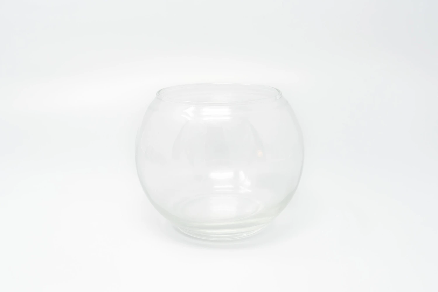 Complete Bubble Trio Terrariums With Tillandsia Juncea, Butzii, And Harrisii Air Plants 5 Complete Bubble Trio Terrariums With Tillandsia Juncea, Butzii, And Harrisii Air Plants - Image 5