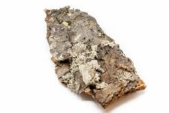 Natural Cork Bark Displays & Waterproof Glue - Create A Unique Vertical Garden Display! -Air plant supply co. Cork Bark 2 4e89a4f9 da37 48c4 abf3 8aef123c9cc5 scaled