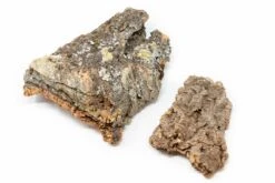 Natural Cork Bark Displays & Waterproof Glue - Create A Unique Vertical Garden Display! -Air plant supply co. Cork Bark 3 4b1d640e b04f 40d0 9ade de1df432a159 scaled