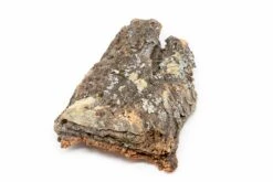 Natural Cork Bark Displays & Waterproof Glue - Create A Unique Vertical Garden Display!