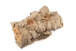 SALE - Small Tabletop Cork Bark Display With 2 Tillandsia Air Plants - Set Of 3 Or 6 - 40% Off -Air plant supply co. Cork Bark Display 5 scaled