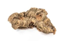 SALE - Small Tabletop Cork Bark Display With 2 Tillandsia Air Plants - Set Of 3 Or 6 - 40% Off -Air plant supply co. Cork Bark Display 6 scaled