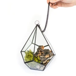 DIY Glass Diamond Terrarium -Air plant supply co. Glass Diamond Terrarium Kit 1