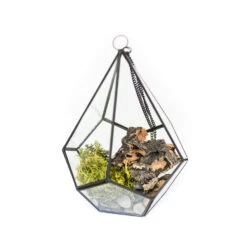 Glass Diamond Terrarium 8 Glass Diamond Terrarium -Air plant supply co. Glass Diamond Terrarium Kit 2