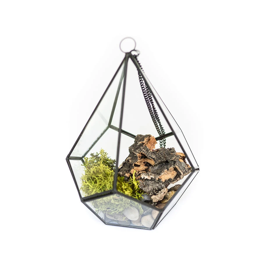 Glass Diamond Terrarium 3 Glass Diamond Terrarium - Image 3