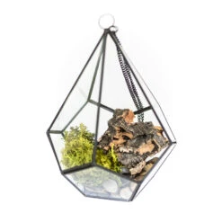 DIY Glass Diamond Terrarium -Air plant supply co. Glass Diamond Terrarium Kit 3