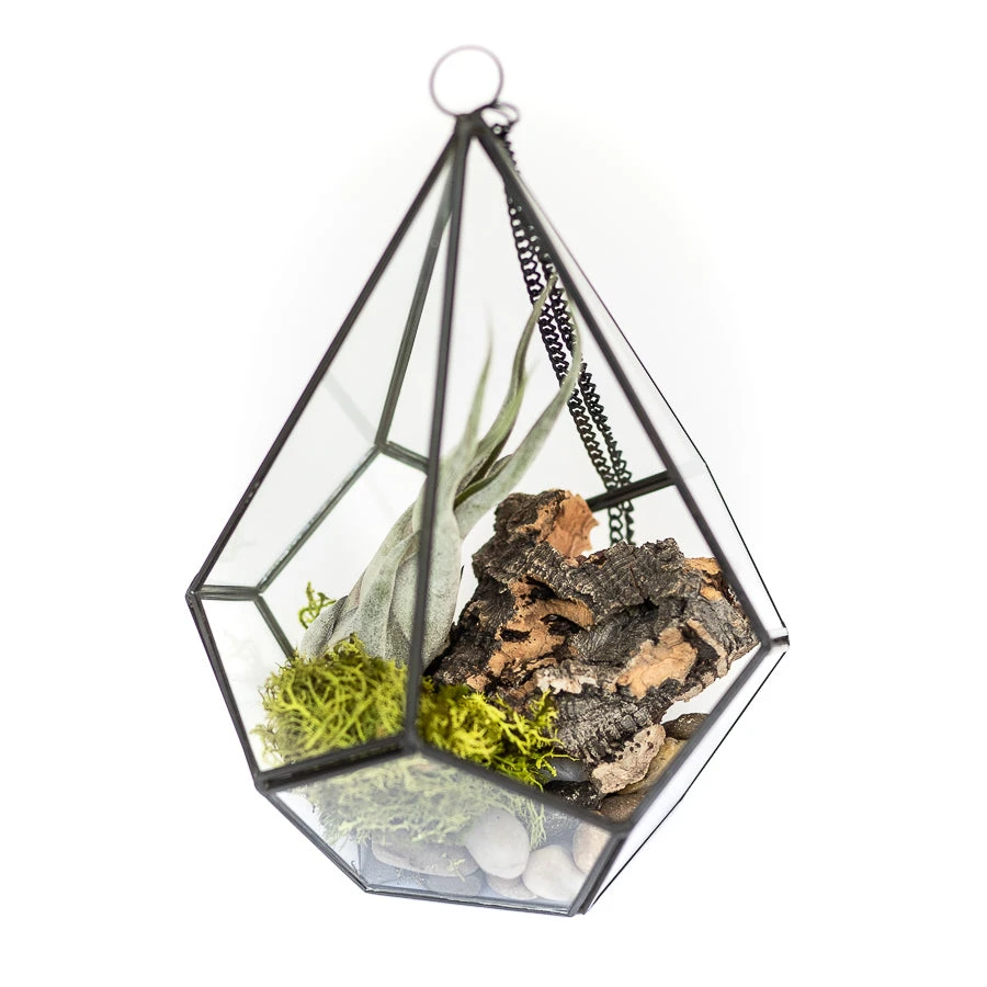 Glass Diamond Terrarium 5 Glass Diamond Terrarium - Image 5