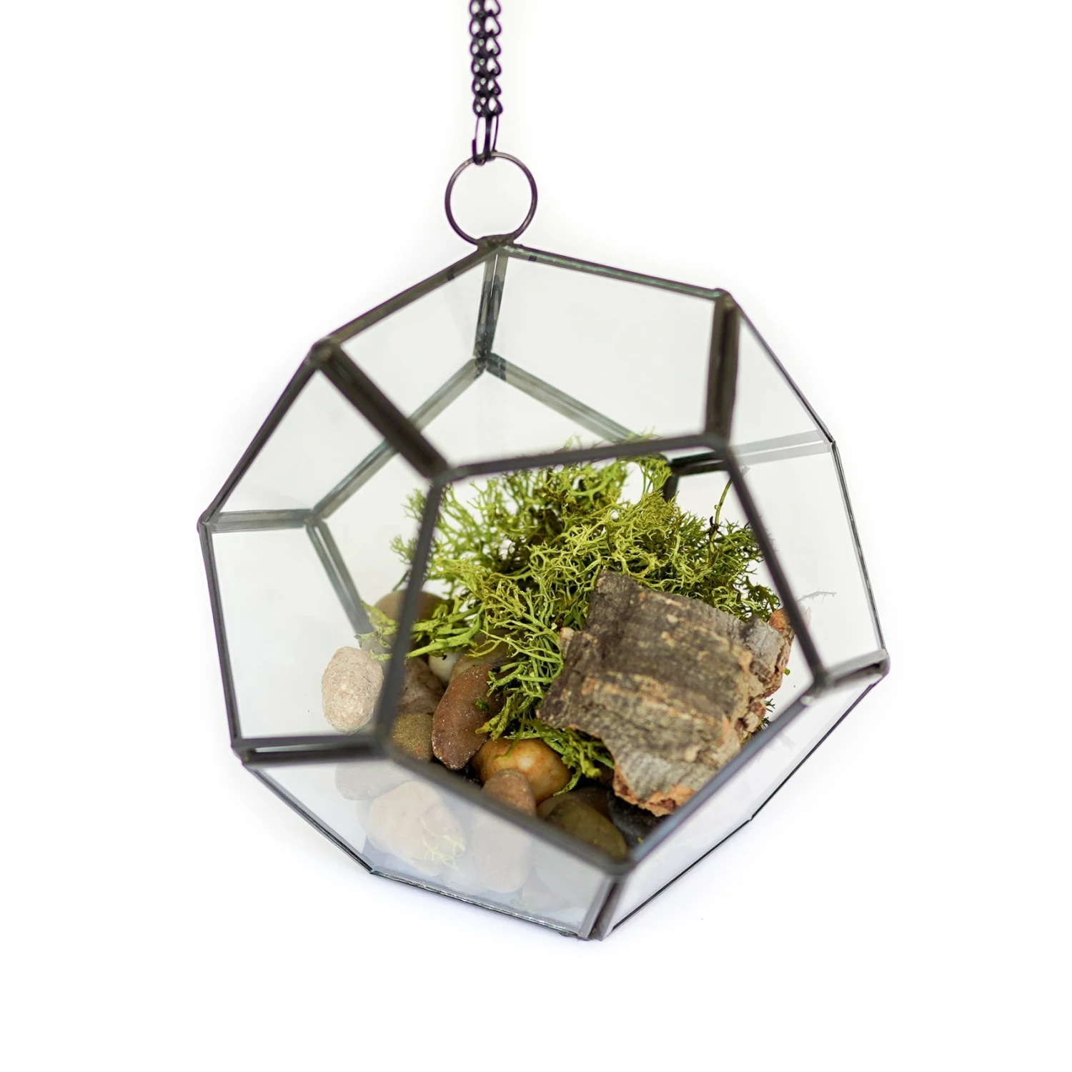 Glass Pentagon Terrarium 5 Glass Pentagon Terrarium - Image 5
