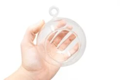 Minimalist Terrarium In A Glass Globe With Flat Bottom - Choose Your Custom Tillandsia Air Plant -Air plant supply co. HangingRoundBottomGlassTerrariums 4 scaled