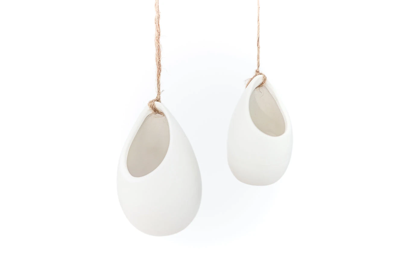 Sets Of 3 Or 6 Small Ivory Ceramic Vases With Tillandsia Red Abdita, Velutina And Caput Medusae Air Plants 5 Sets Of 3 Or 6 Small Ivory Ceramic Vases With Tillandsia Red Abdita, Velutina And Caput Medusae Air Plants - Image 5