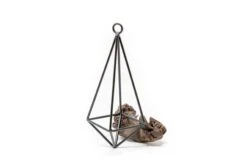 Hanging Metal Pendant With Assorted Tillandsia Air Plants -Air plant supply co. Hanging Metal Pendant 1 8b940c75 62a4 4128 a679 d351486c5613 scaled