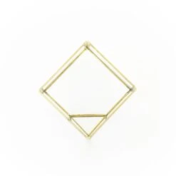 Heptahedron Geometric Glass Terrarium With Tillandsia Red Abdita And Ionantha Air Plants 11 Heptahedron Geometric Glass Terrarium With Tillandsia Red Abdita And Ionantha Air Plants -Air plant supply co. Heptahedron Glass Terrariums 5 44a110d1 a578 41ff a9d2 f6fa89ab0718 scaled