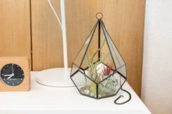 Glass Diamond Terrarium 11 Glass Diamond Terrarium -Air plant supply co. Hotel Lifestyle Wholesale 30 fb6f0ce6 b184 4a21 b8e8 e304cc4b0466 scaled