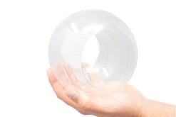 Large Hand-Blown Glass Terrarium With 2 Open Ends