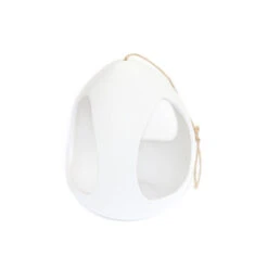 Large White Ceramic Hanging Pod With Two Assorted Tillandsia Plants 9 Large White Ceramic Hanging Pod With Two Assorted Tillandsia Plants -Air plant supply co. Large White Ceramic Hanging Pod 3 a75efd46 bc78 4745 adcd 11ce127d5c23