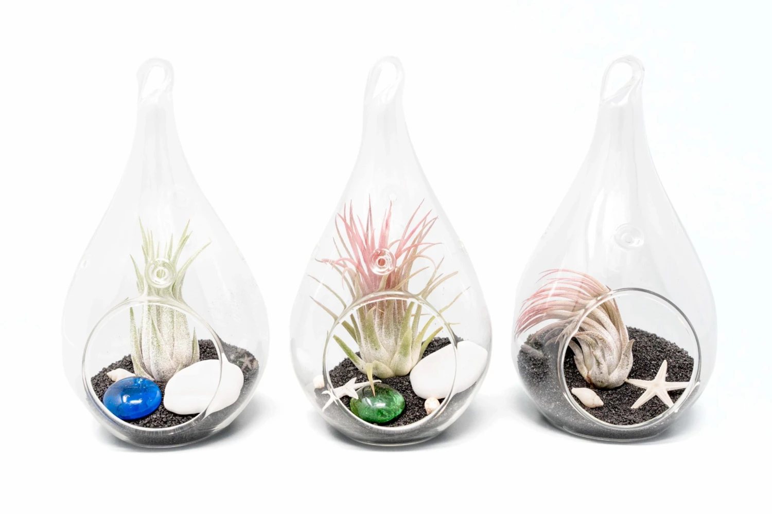 Teardrop Beach Terrariums With Black Sand 3 Teardrop Beach Terrariums With Black Sand - Image 3