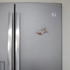 Set Of 3 Seashell Magnets With Tillandsia Air Plants 7 Set Of 3 Seashell Magnets With Tillandsia Air Plants -Air plant supply co. Shell Magnet Tillandsia Air Plant 6