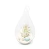 Teardrop Beach Terrarium With White Sand