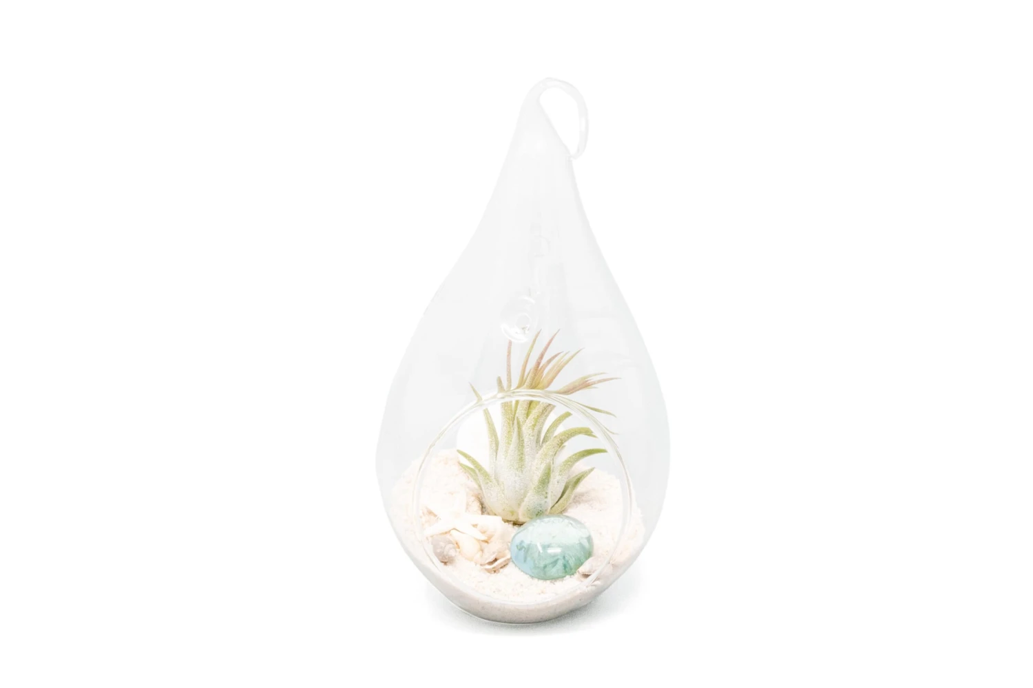 Teardrop Beach Terrarium With White Sand 1 Teardrop Beach Terrarium With White Sand