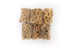 Natural Cholla Wood Container - 3 Inches Tall With Assorted Tillandsia Air Plants -Air plant supply co. Tillandsia Air Plant Cholla Wood 10 scaled