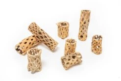 Natural Cholla Wood Container - 6 Inches Tall -Air plant supply co. Tillandsia Air Plant Cholla Wood 13 78b515c8 1314 46f7 b015 b97cd1552ab1 scaled