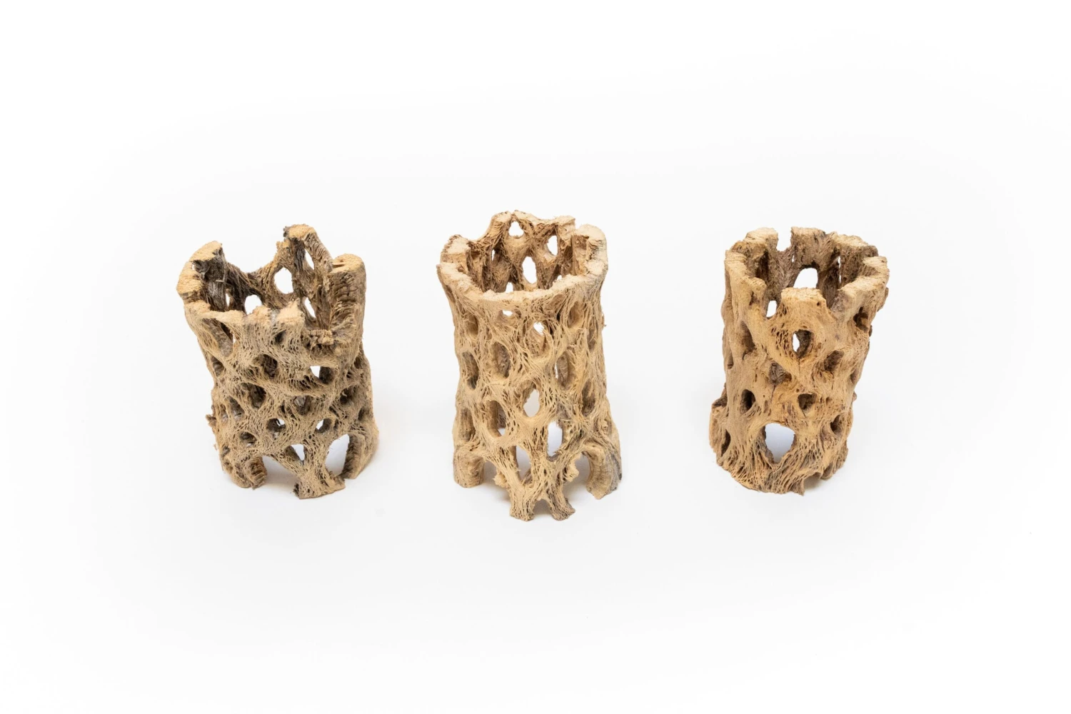 Natural Cholla Wood Container - 3 Inches Tall 2 Natural Cholla Wood Container - 3 Inches Tall - Image 2