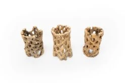 SALE - Natural Cholla Wood Containers With Assorted Tillandsia Air Plants - Set Of 3 - 20% Off 8 SALE - Natural Cholla Wood Containers With Assorted Tillandsia Air Plants - Set Of 3 - 20% Off -Air plant supply co. Tillandsia Air Plant Cholla Wood 3 d473ad8c f56b 4bc8 8632 5ccc02762e0a scaled