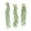 SALE - Tillandsia Colombia Thick Spanish Moss - Large Clumps - Set Of 3 Or 6 Strands - 30% Off