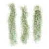 SALE - Tillandsia Colombia Thick Spanish Moss - Large Clumps - Set Of 3 Or 6 Strands - 30% Off