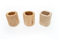 Set Of 3 Large Driftwood Containers With Custom Tillandsia Air Plants -Air plant supply co. Tillandsia Air Plant Driftwood Container 2 72f7e390 704f 4809 a12e 6b7ba5493cad scaled