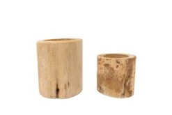 Driftwood Tillandsia Air Plant Or Succulent Container