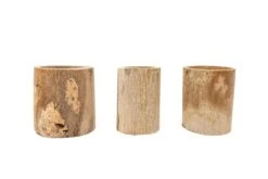 3 Small Driftwood Containers With 3 Assorted Tillandsia Air Plants 10 3 Small Driftwood Containers With 3 Assorted Tillandsia Air Plants -Air plant supply co. Tillandsia Air Plant Driftwood Container Display 3 scaled