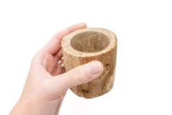 3 Small Driftwood Containers With 3 Assorted Tillandsia Air Plants 12 3 Small Driftwood Containers With 3 Assorted Tillandsia Air Plants -Air plant supply co. Tillandsia Air Plant Driftwood Container Display 5 scaled