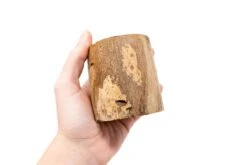 Driftwood Tillandsia Air Plant Or Succulent Container -Air plant supply co. Tillandsia Air Plant Driftwood Container Display 7 38b16d5d 854c 4928 90a9 fdf9f8d7e55f scaled