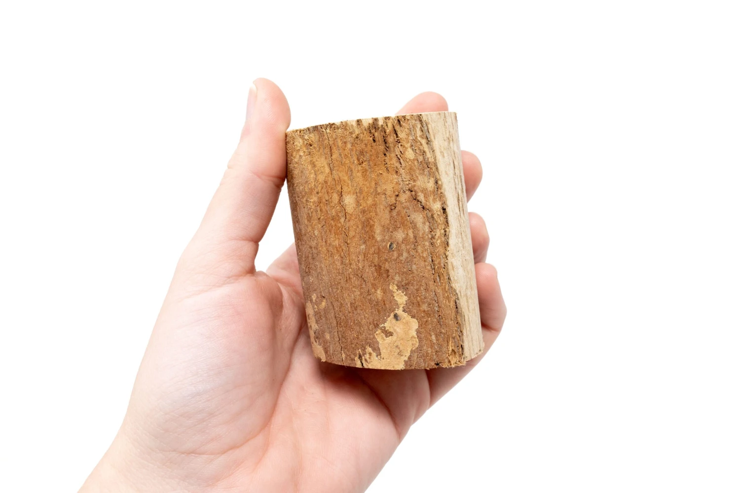 Small Driftwood Container With Ionantha Rubra Air Plant 3 Small Driftwood Container With Ionantha Rubra Air Plant - Image 3