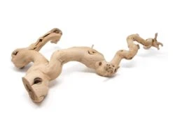 Grapewood Display - Multiple Sizes - With Or Without Tillandsia Air Plants -Air plant supply co. Tillandsia Air Plant Grapevine Wood Display Large Multiple 4 1 scaled