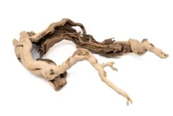 Large Multi-Branched Grapewood Display - Choose Custom Tillandsia Air Plants -Air plant supply co. Tillandsia Air Plant Grapevine Wood Display Large Multiple 8 1 scaled