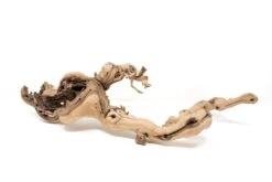 Grapewood Display - Multiple Sizes - With Or Without Tillandsia Air Plants -Air plant supply co. Tillandsia Air Plant Grapevine Wood Display Medium Multiple 7 b93858d1 ebf9 44f7 961a c358afff622f scaled