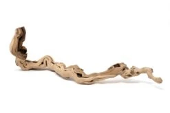 Medium Single Branch Grapewood Display With 3 Assorted Tillandsia Air Plants 17 Medium Single Branch Grapewood Display With 3 Assorted Tillandsia Air Plants -Air plant supply co. Tillandsia Air Plant Grapevine Wood Display Medium Single 9 2 scaled