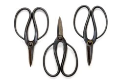 Bonsai-Style Pruning Scissors For Tillandsia Air Plants -Air plant supply co. Tillandsia Air Plant Scissors Tools 1 2 scaled