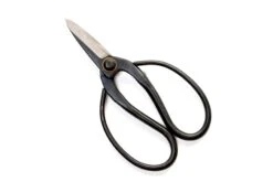 Bonsai-Style Pruning Scissors For Tillandsia Air Plants -Air plant supply co. Tillandsia Air Plant Scissors Tools 3 scaled