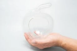 Apple Terrarium With Pebble Kit And Tillandsia Air Plants -Air plant supply co. Tillandsia Air Plant Terrarium Apple 1 scaled