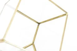 Heptahedron Geometric Glass Terrarium - Gold Metallic Finish - Trendy Holder For Tillandsia Air Plants 13 Heptahedron Geometric Glass Terrarium - Gold Metallic Finish - Trendy Holder For Tillandsia Air Plants -Air plant supply co. Tillandsia Air Plant Terrarium Heptahedron Geometric Glass 3 scaled