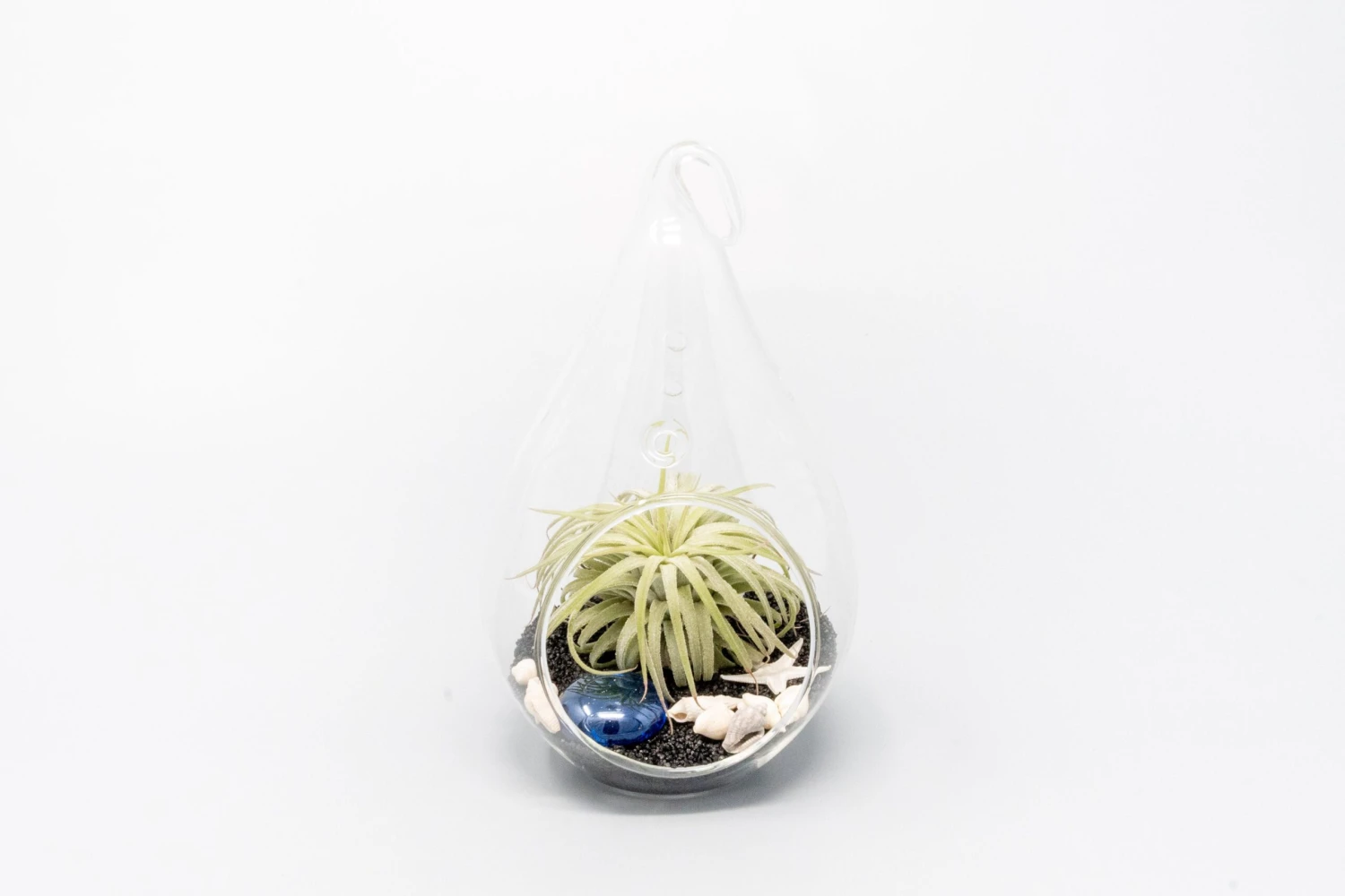 Teardrop Beach Terrariums With Black Sand 2 Teardrop Beach Terrariums With Black Sand - Image 2