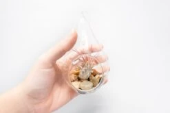 SALE - Set Of 3 Airy Teardrop Terrariums With Flat Bottoms -Air plant supply co. Tillandsia Air Plant Terrarium Kit 7 scaled
