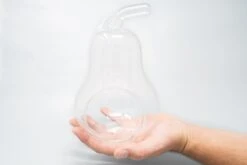 Pear Terrarium With Pebble Kit And Tillandsia Air Plants -Air plant supply co. Tillandsia Air Plant Terrarium Pear 2 scaled