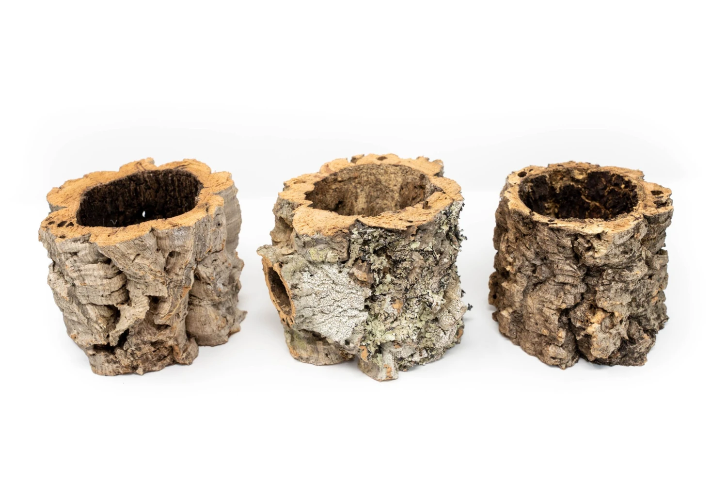 Natural Cork Bark Planters 3 Natural Cork Bark Planters - Image 3