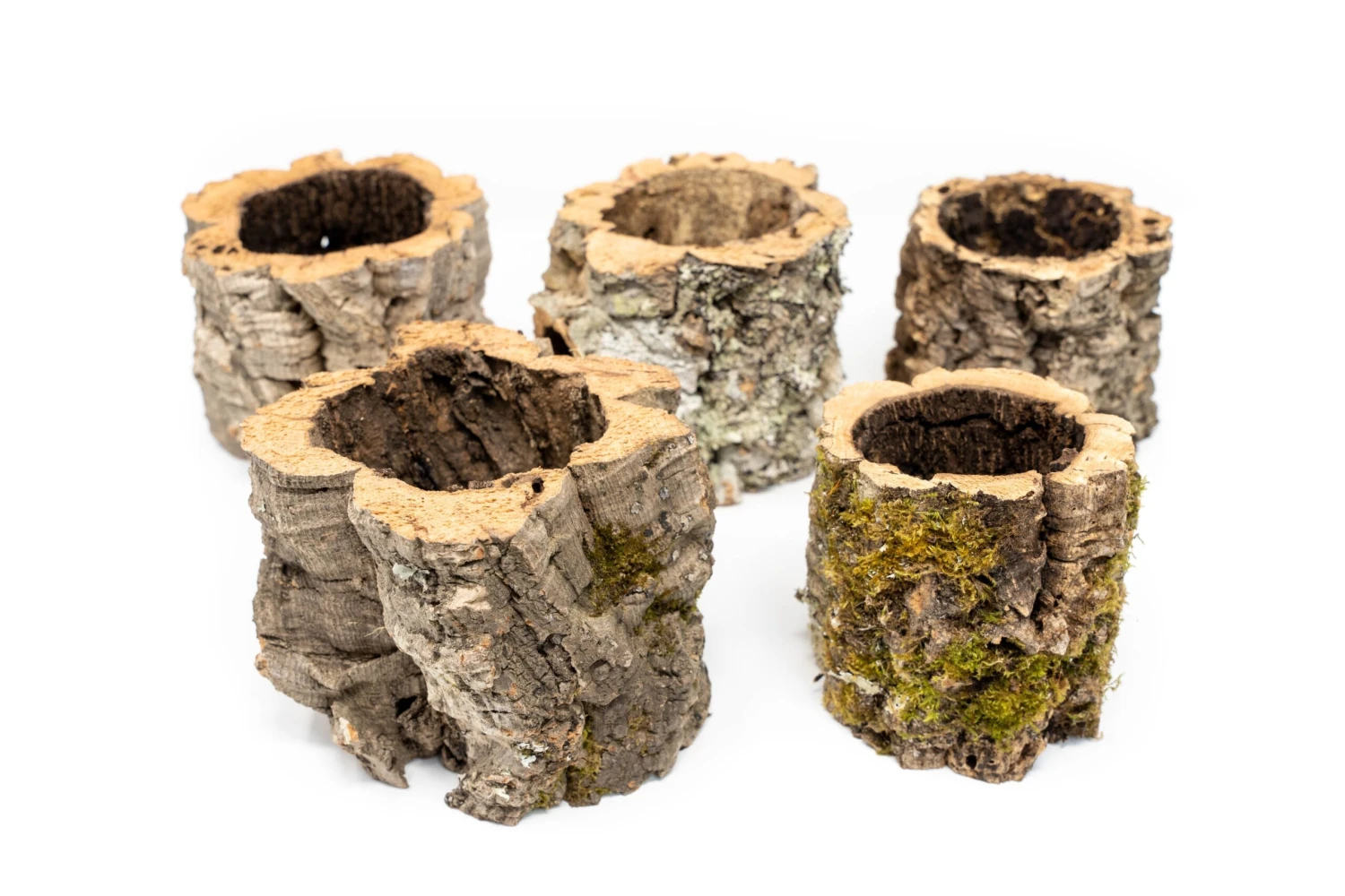 Natural Cork Bark Planters 4 Natural Cork Bark Planters - Image 4